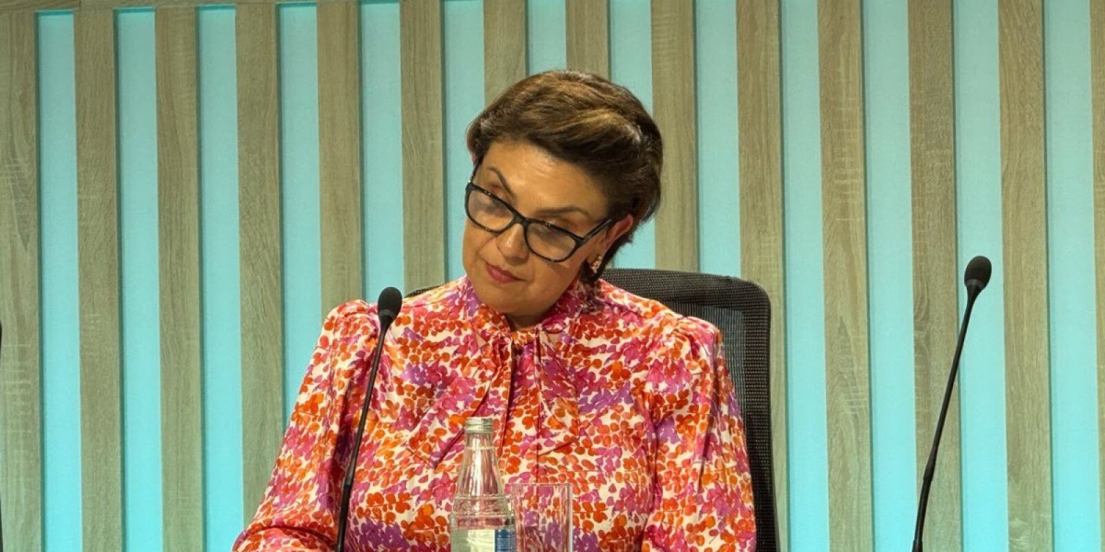 Səfirdən WUF13 könüllülərinə təşəkkür