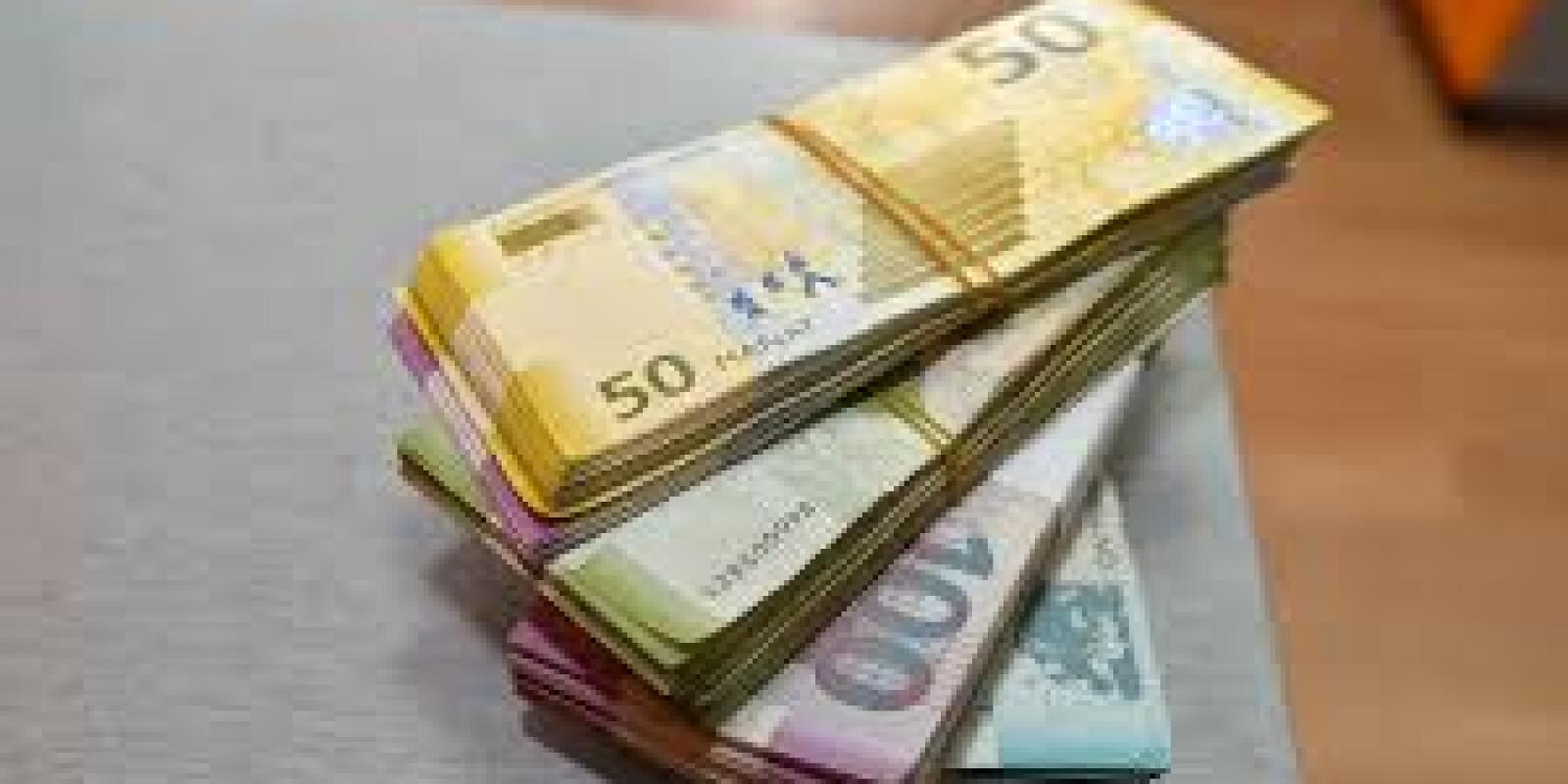 Banklarımız nə qədər "yaşıl kredit" verib?