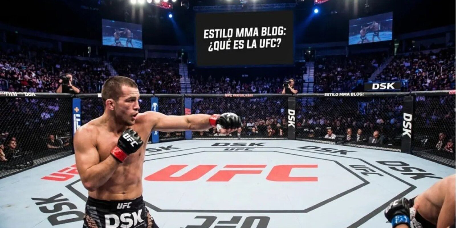 "UFC Fight Night Baku" ilə bağlı XƏBƏR