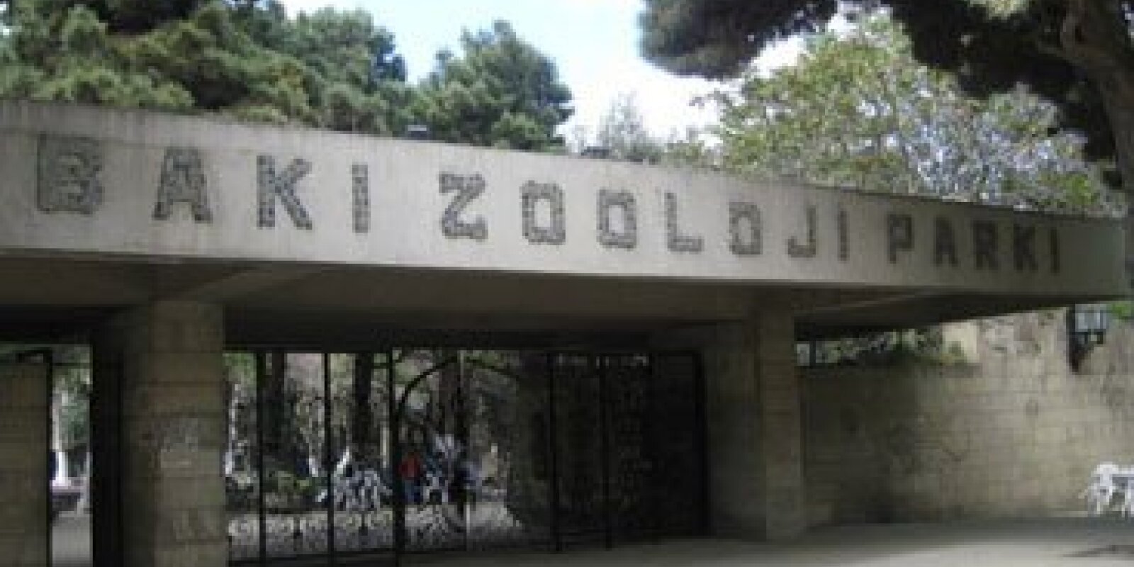 Bakı Zooparkına yeni heyvanlar gətirilməyəcək - VİDEO REPORTAJ