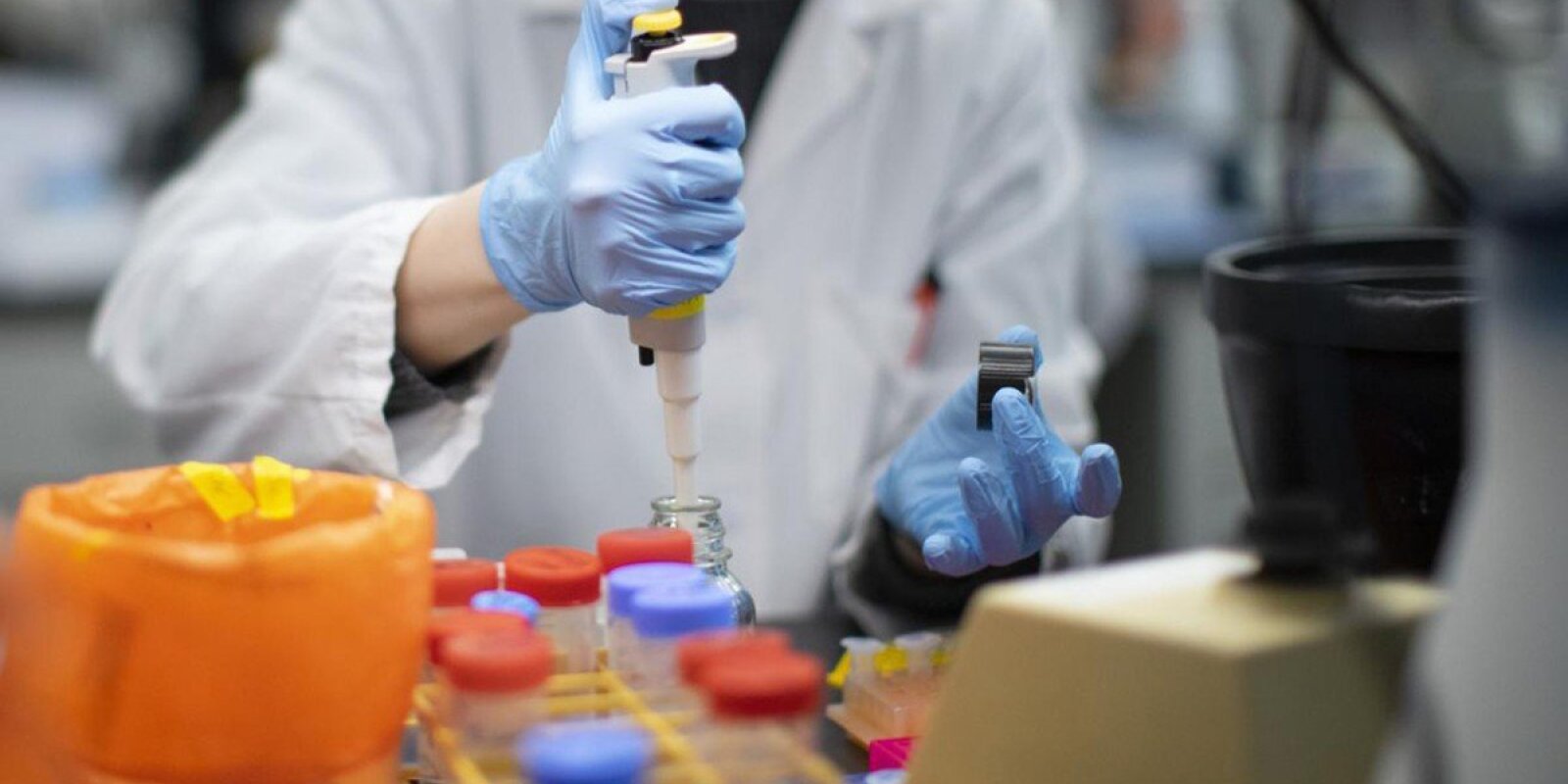 Taylandda yarasalarda yeni koronavirus ştamı tapıldı