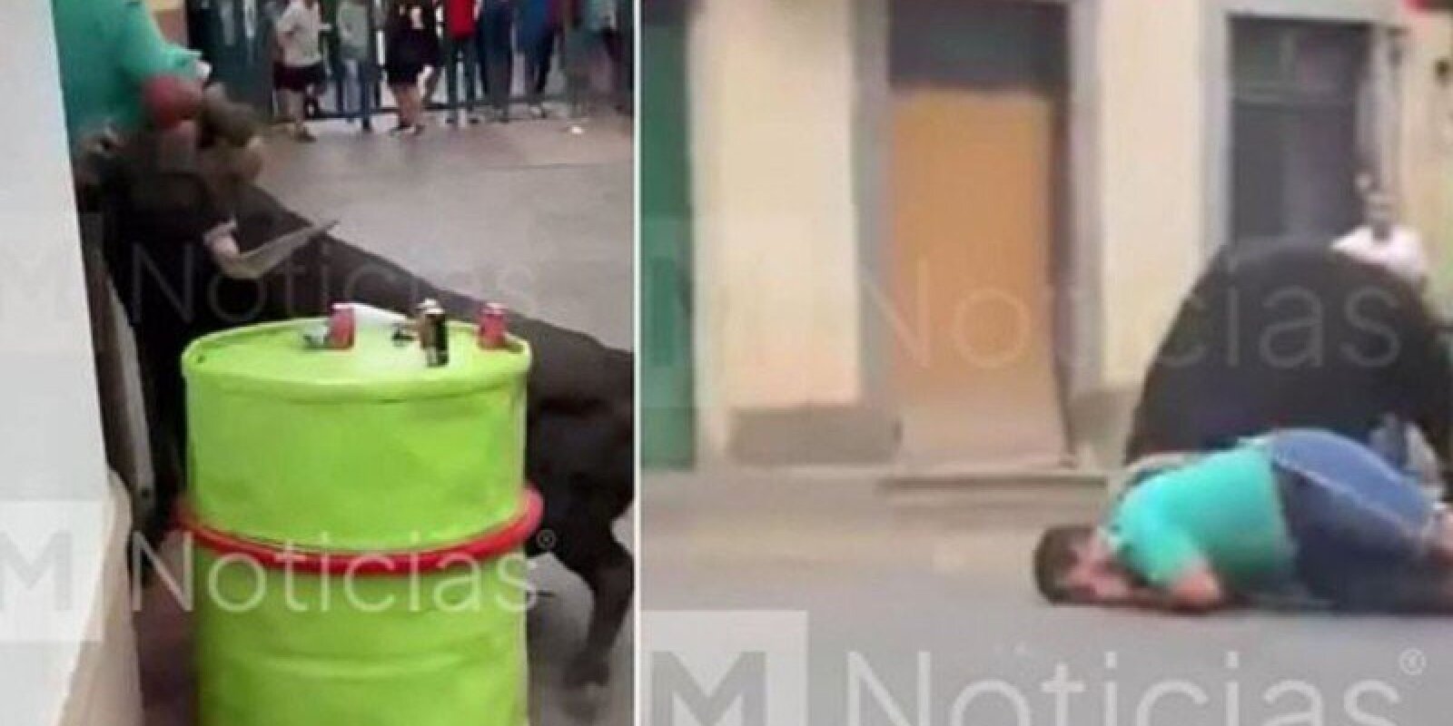 Yetişdirdiyi öküz həyatına son qoydu