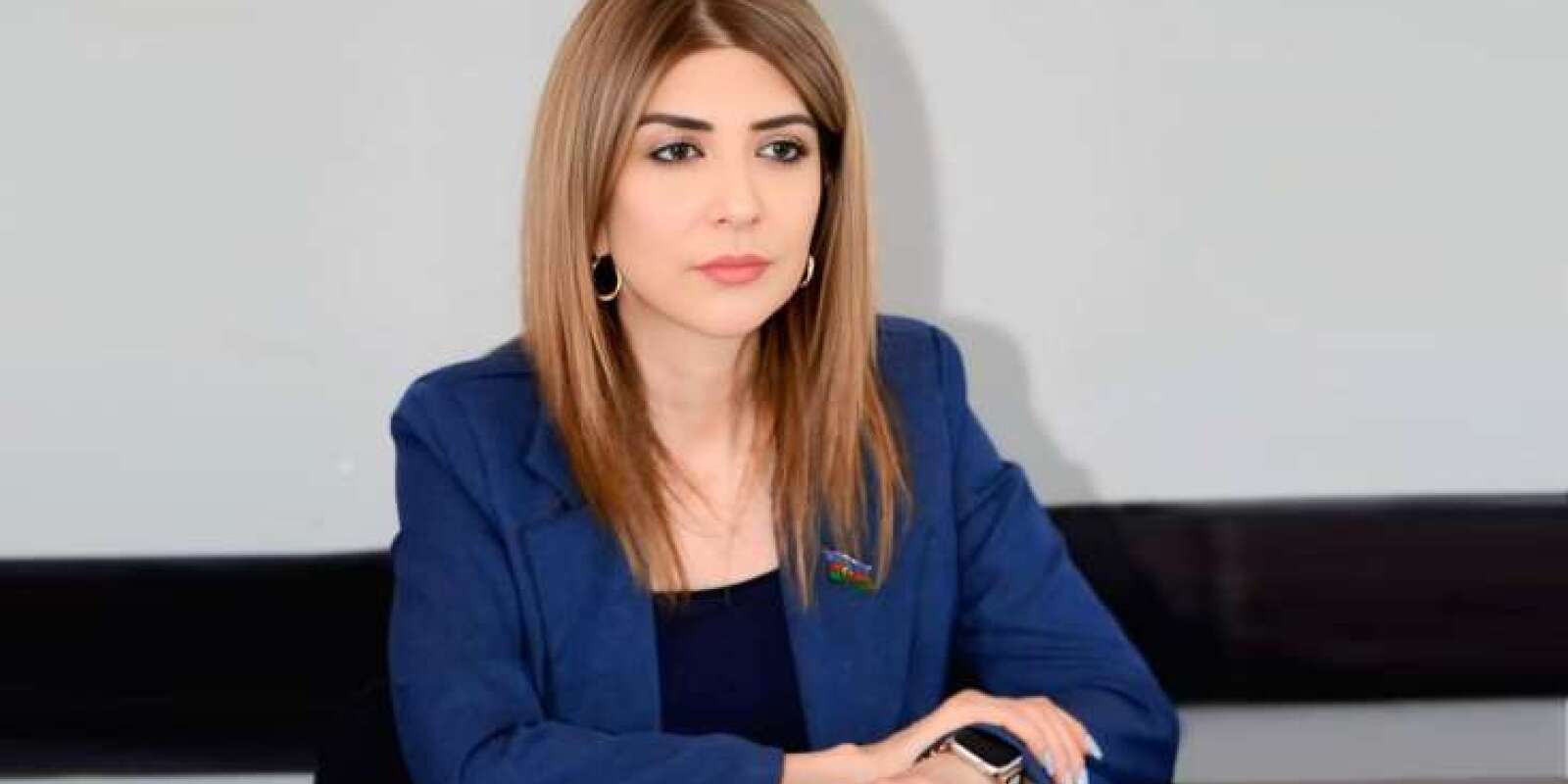 Günay Ağamalı: Azərbaycanda seçki institutu möhkəmləndirilib
