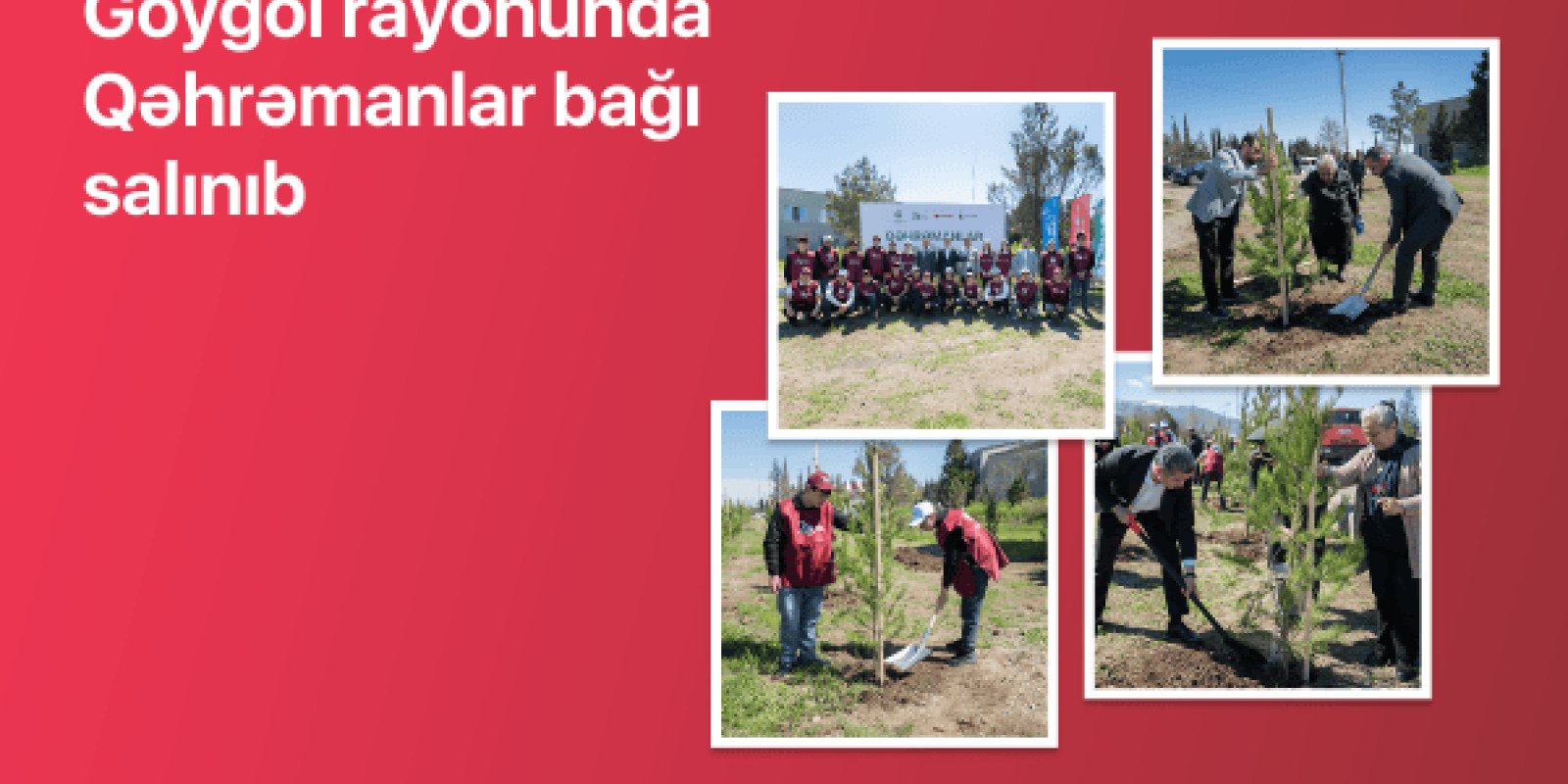 Göygöldə “Qəhrəmanlar bağı” aksiyası həyata keçirilib