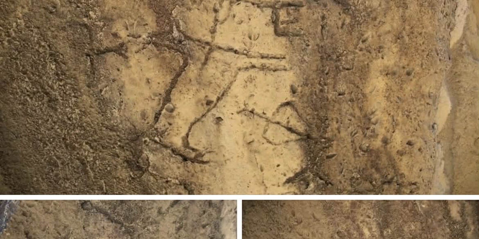 Qobustan qoruğunda yeni qayaüstü təsvirlər aşkar olunub